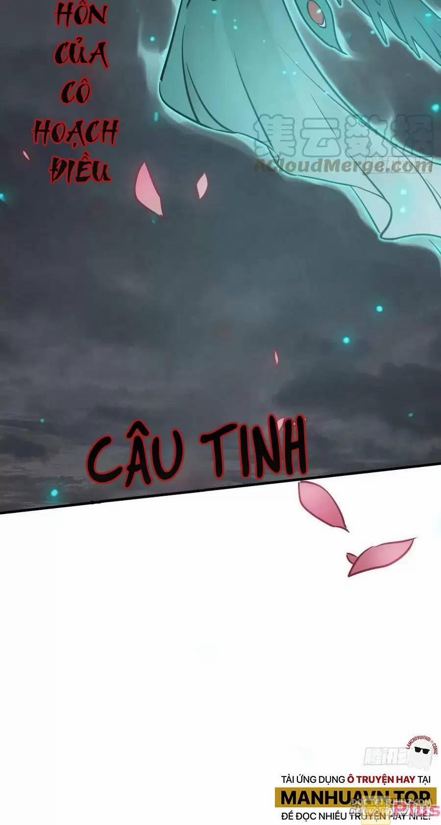 Xuyên Không Thành Chim 126 trang 13