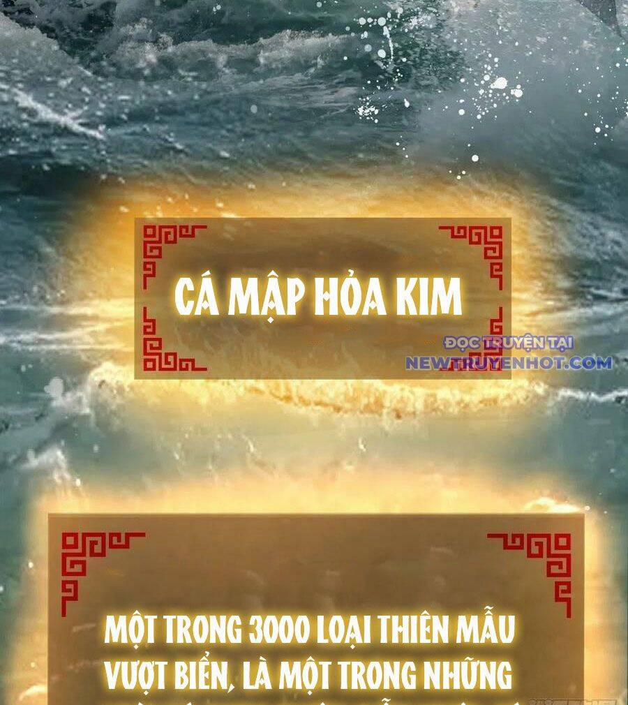 Xuyên Không Thành Chim 166 trang 35