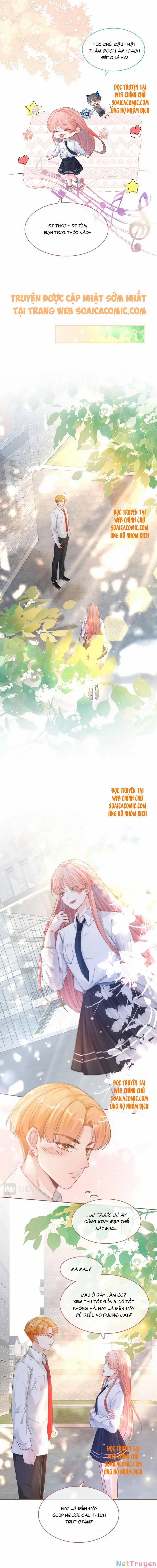 Xuyên Nhanh Nữ Phụ Bình Tĩnh Chút 81 trang 1