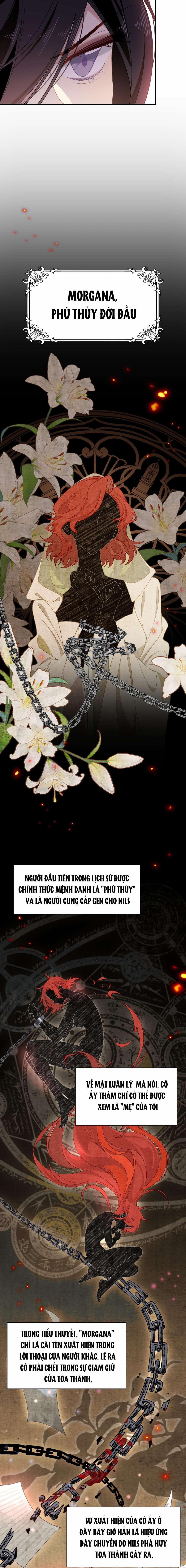 Xuyên Thành Phù Thủy Nuôi Dưỡng Kỵ Sĩ Thánh Điện 41 trang 1