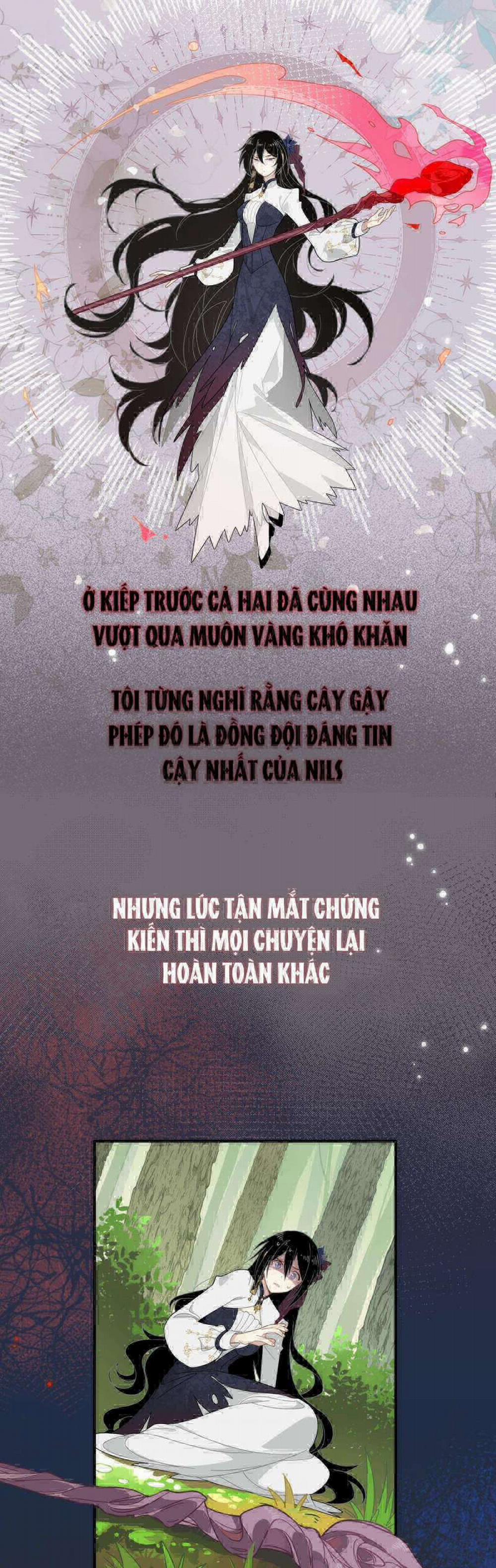 Xuyên Thành Phù Thủy Nuôi Dưỡng Kỵ Sĩ Thánh Điện 5 trang 3