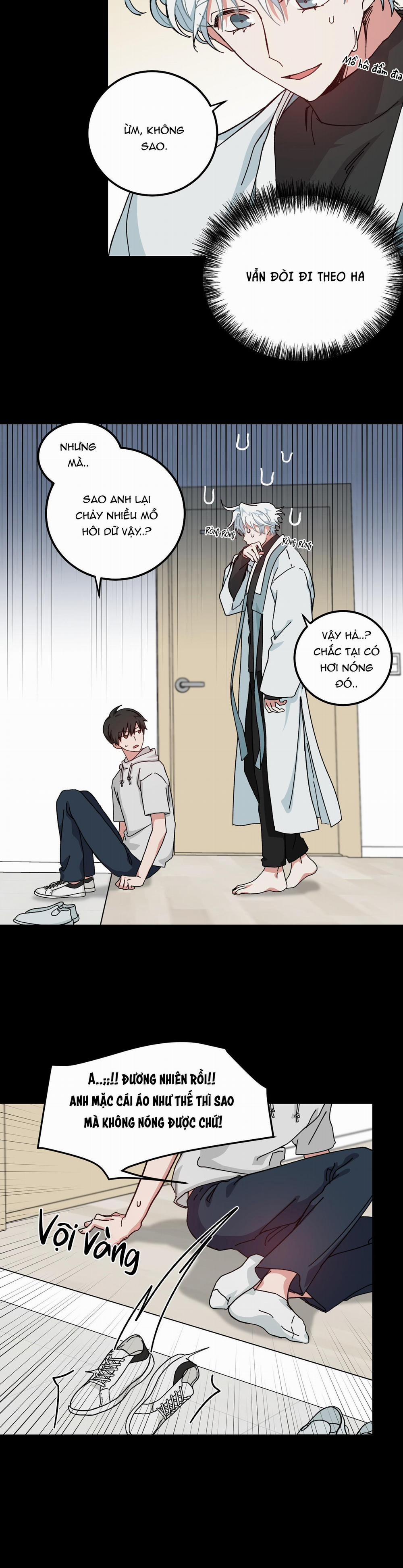 Yêu Tôi Đi, Thần Hộ Mệnh 10 trang 11