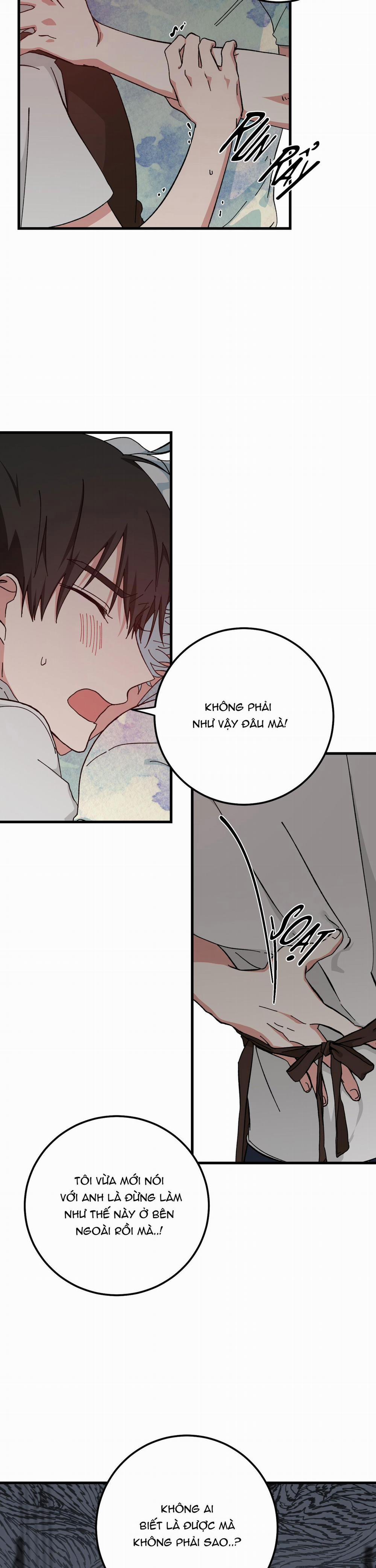 Yêu Tôi Đi, Thần Hộ Mệnh 12 trang 17