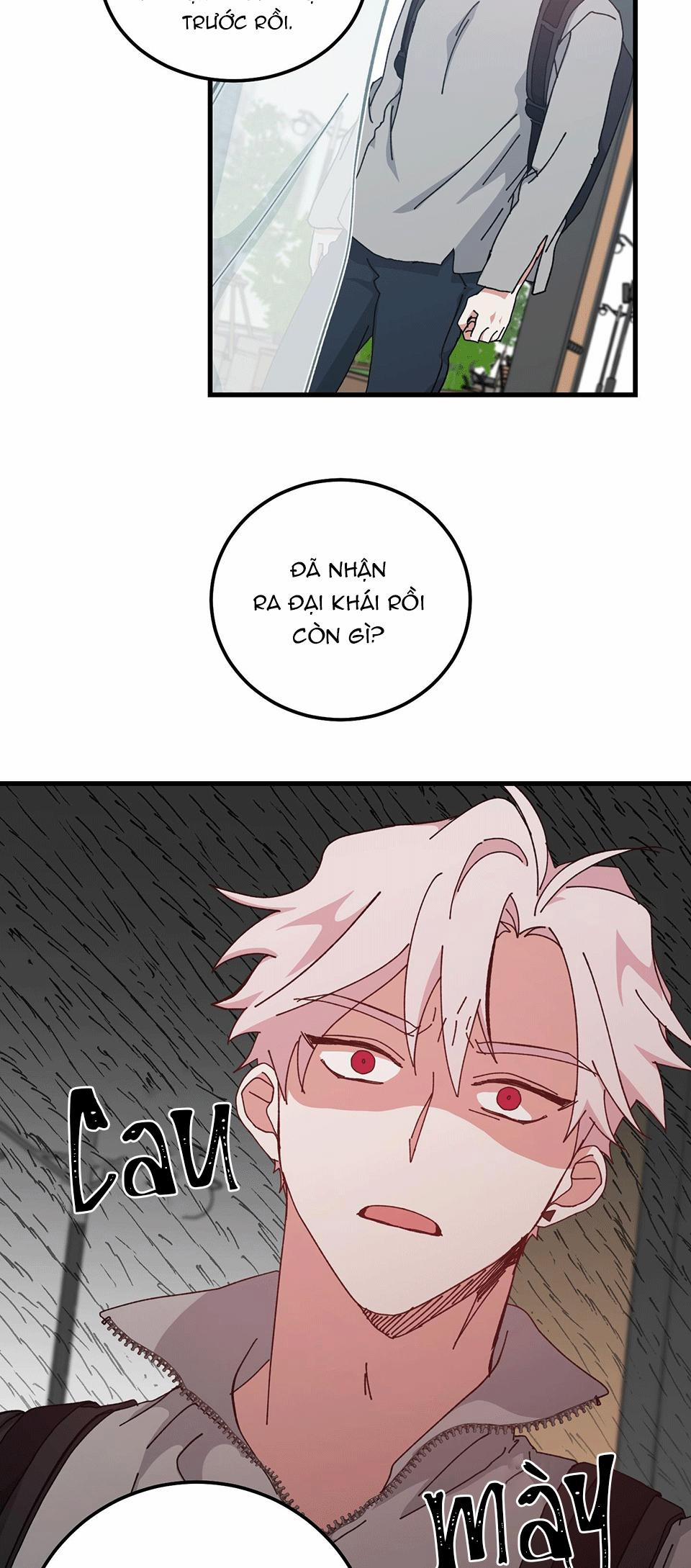 Yêu Tôi Đi, Thần Hộ Mệnh 37 trang 44