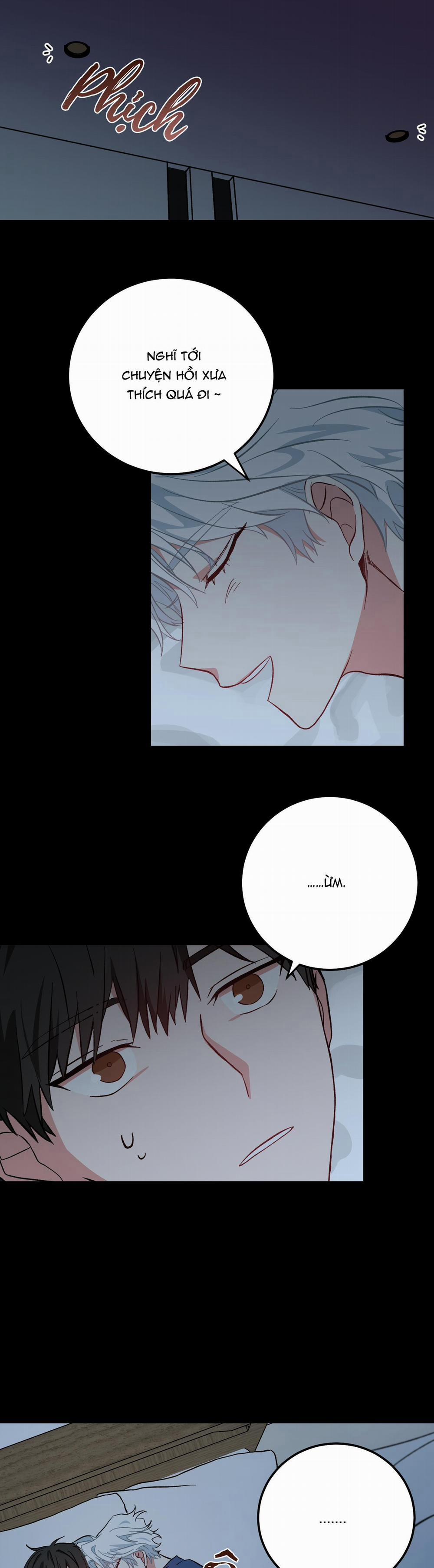 Yêu Tôi Đi, Thần Hộ Mệnh 5 trang 21