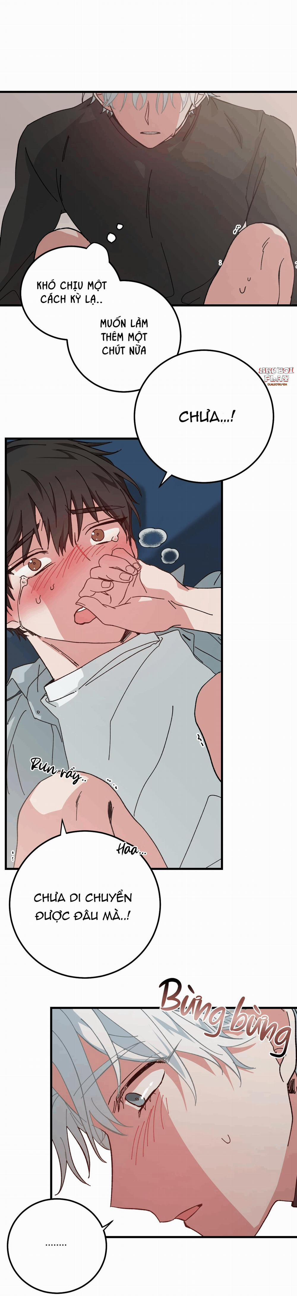 Yêu Tôi Đi, Thần Hộ Mệnh 8 trang 64