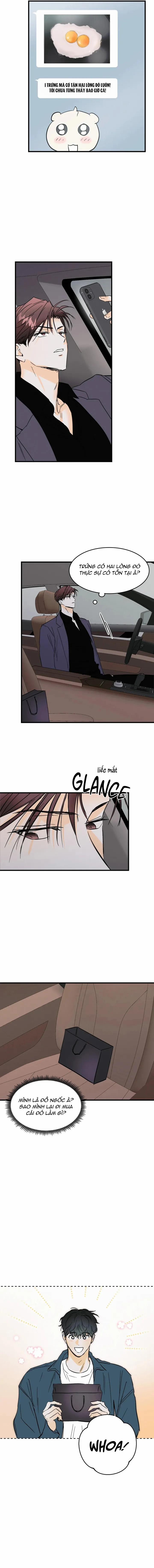 Yêu Và Để Dối 33 trang 8