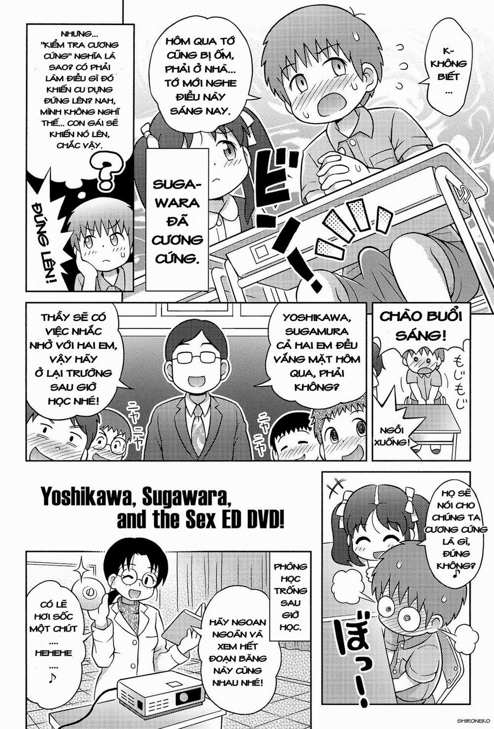 Yoshikawa-san to Sugawara-kun to Seikyouiku DVD! Chương Oneshot Trang 4