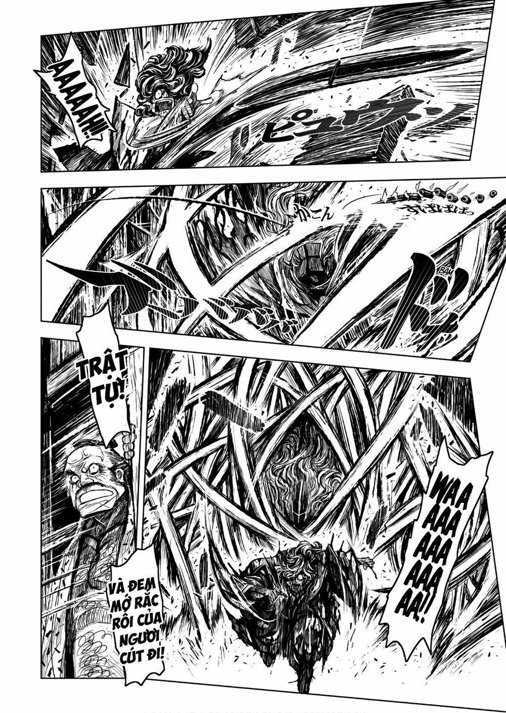 Zingnize 11 trang 13