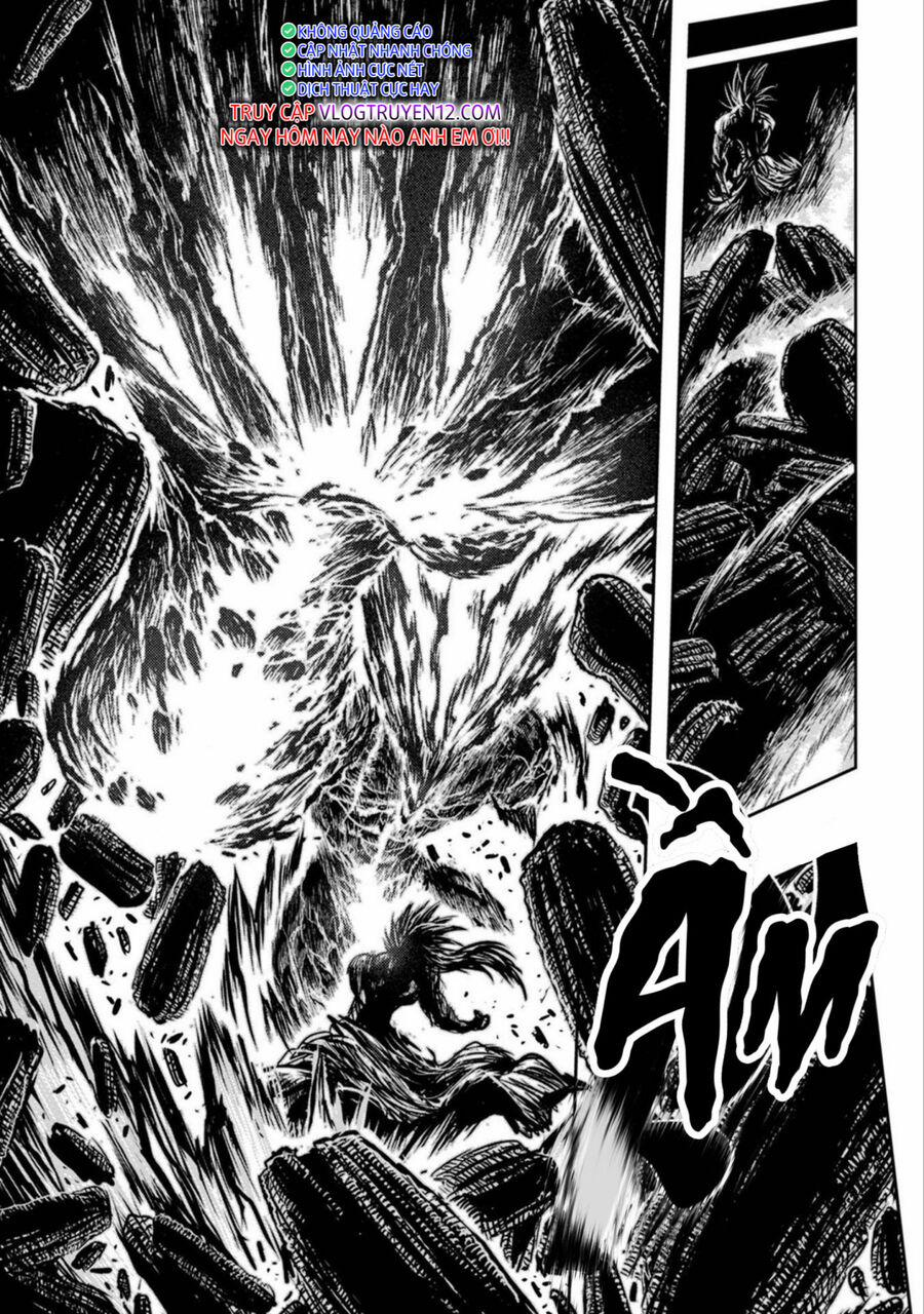 Zingnize 40 trang 13