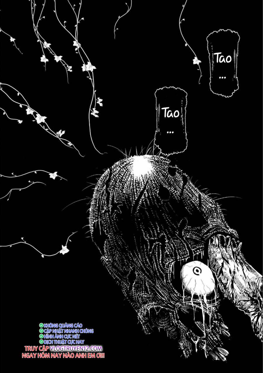 Zingnize 41 trang 34